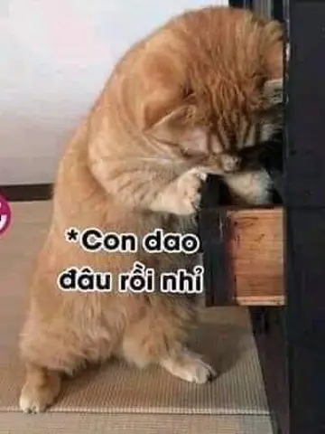 Bạn Cùng Phòng Có Hệ Thống Hoán Đổi Cân Nặng