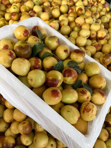 Bữa Cơm Giao Thừa Định Mệnh