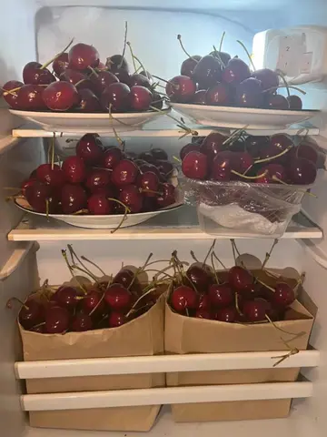 CẢ NHÀ CHỒNG ĐỀU MUỐN TÔI CHẾT!!!