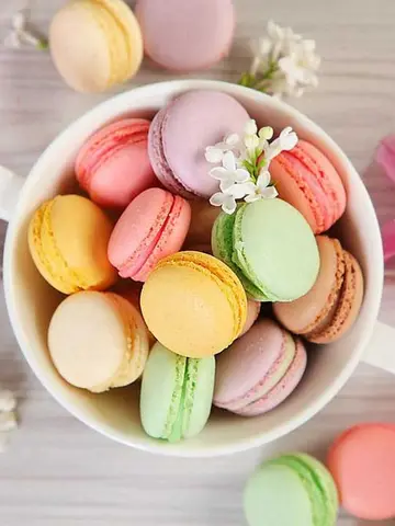 Chiếc nơ bướm đỏ