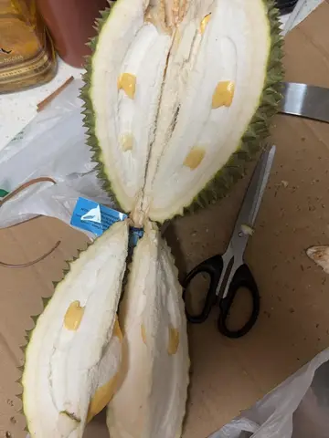 Điểm Số Bị Đánh Cắp