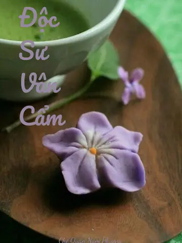 ĐỘC SƯ VÂN CẨM