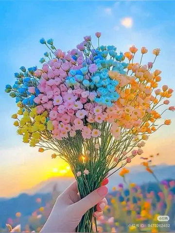 Đứa Con Bị Đánh Tráo