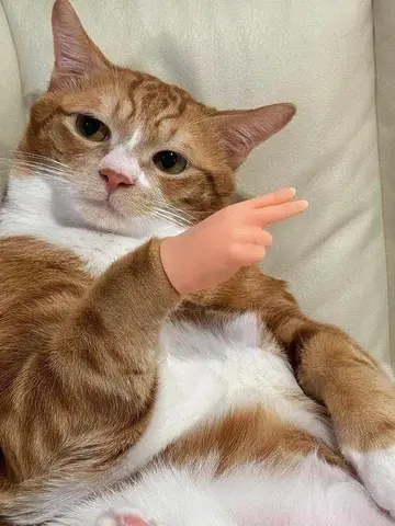 Đừng Hòng Hủy Hoại Con Gái Tôi