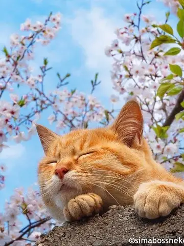 Hối Hận Muộn Màng