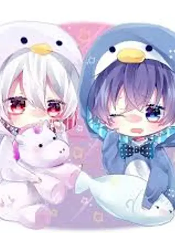 Hợp Đồng Lông Xù