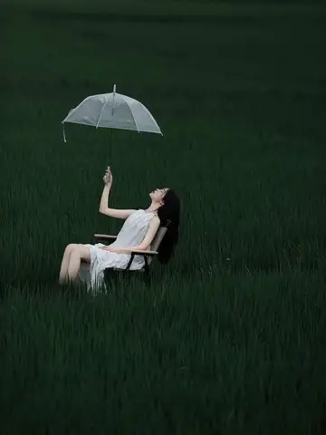 Nhật Ký Của Cố Mãn