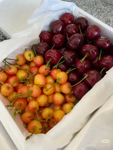 Tội Ác Hoàn Hảo