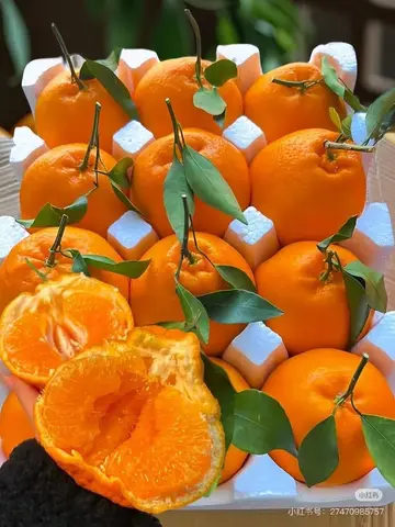 Tôi Cũng Là Nữ Chính