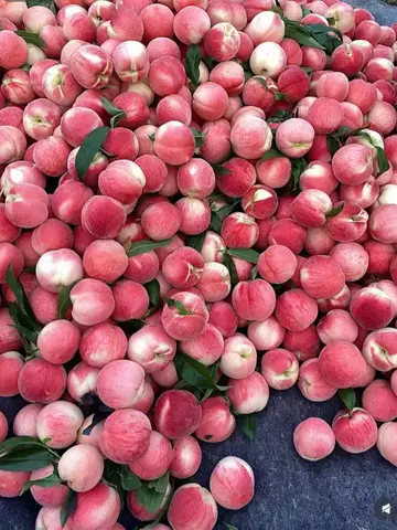 Tra Nam Phản Bội, Tôi Khiến Hắn Hối Hận Tới Chết